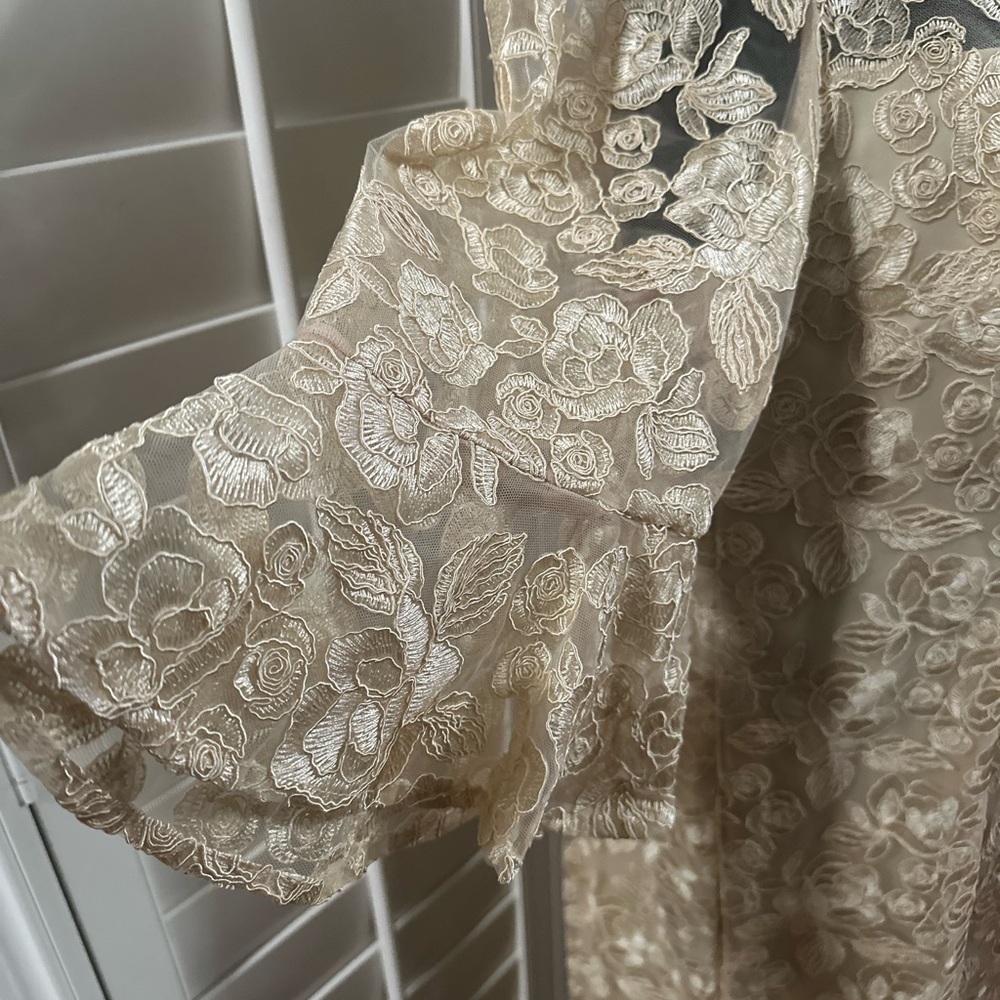 New Adrianna Papell Cream Floral Lace maxi Dress - Picture 6 of 10